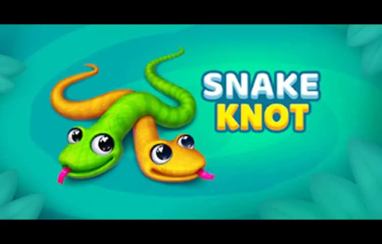 Snake Puzzle